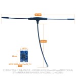 BAYCK 915Mhz 868MHz Dual Core Diversity Long Range